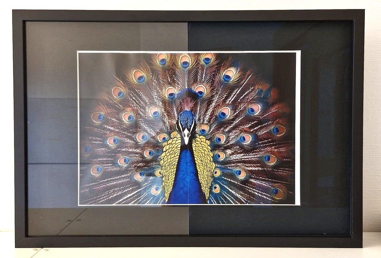 JM Optic WaterWhite - 50x70 cm